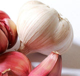 Marchesi Garlic Infused Extra Virgin Olive Oil 8.45 fl oz (250 ml)