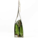 Brontedolci Pistachio Brittle w White Chocolate 5.29 Oz (150g)