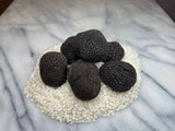 Fresh Black Winter Truffles ( Tuber melanosporum vitt)