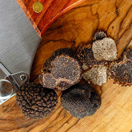 Truffle Specialty