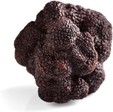 La Rustichella Black Truffle Paté 17.6 oz (500 g)