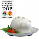 Sogno Toscano, Mozzarella di Buffala DOP 9 oz (250 g)